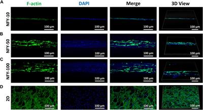 Electrospun aligned poly(ε-caprolactone) nanofiber yarns guiding 3D organization of tendon stem/progenitor cells in tenogenic differentiation and tendon repair